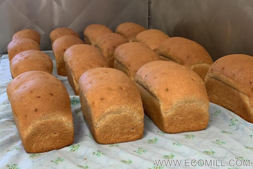 This is the bread that was baked from flour produced by the Flowing Grains staff on the ECOMILL 1500 Expert for consumption and celebration of their new mill.